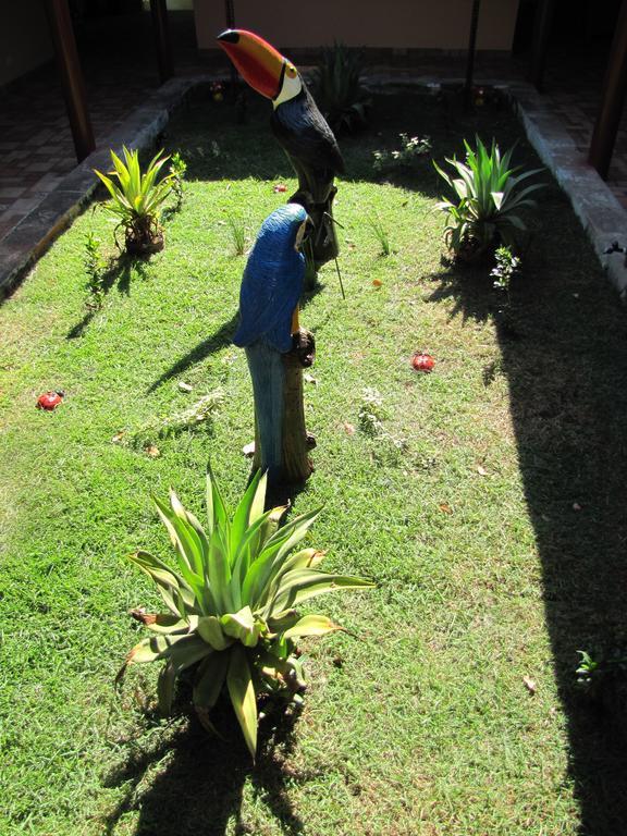 Hotel Fazenda Arara Azul Carolina  Exterior foto